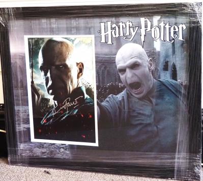 Ralph Fiennes Lord Voldemort
